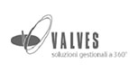 valves